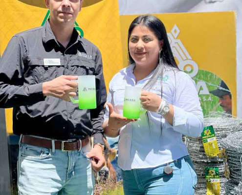 Activacion-2